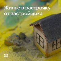 article57894.jpg