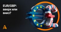 article58511.jpg