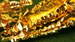 GOLD     XAUUSD 14.08.2019    