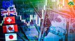   Forex:     ? ,     -   