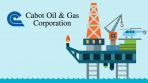    -   !    14.12.2020    Cabot Oil & Gas Corporation (NYSE)