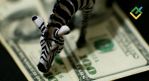  -   .  EUR/USD Forex  30.04.2021:   .  USD      4-  