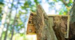    ?  USDJPY Forex    03.05.2022:   .   USDJPY?