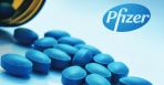  Pfizer Inc    15.12.2022