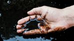 , ,     31.05.2023 Brent Crude Oil:      