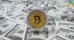    !  02.08.2023 , ,    , ,  #BTCUSD #XRPUSD #ETHUSD