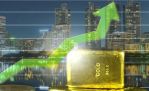   !  GOLD , ,   XAU/USD:          