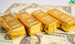        ,   EURUSD  08.11.2023