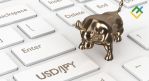Иена берет «быков» за рога. Прогноз по иене USDJPY на неделю от 11.12.2023: Среднесрочный фундаментальный анализ. USDJPY определилась с трендом