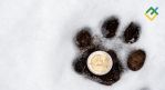 EURUSD путает следы. Прогноз по евро на неделю от 18.12.2023: Среднесрочный фундаментальный анализ. Как разобраться во всех хитросплетениях на Forex?