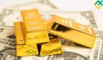       ,   EURUSD  02.02.2024