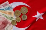   , ,    USD/TRY:       2022 