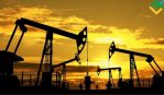 US Crude, XAUUSD  EURUSD     ,       