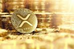  XRP  :   56%   $4.01    24%