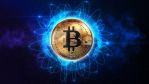 BTC    :         2025