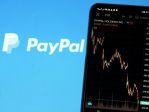     PayPal:      8  2025 