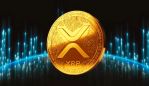   Ripple  :     XRP?   
