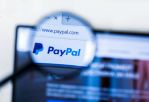   PayPal:  ,      