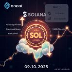 Solana  09  2025:  ,   ?