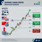    :  AUD/USD     13  2025 