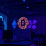  :   ,        05.11.2025