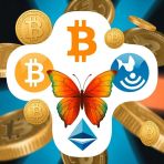   :    ,      26.11.2025