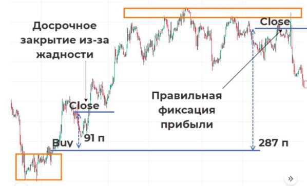 ������ ���������������� �������� �������