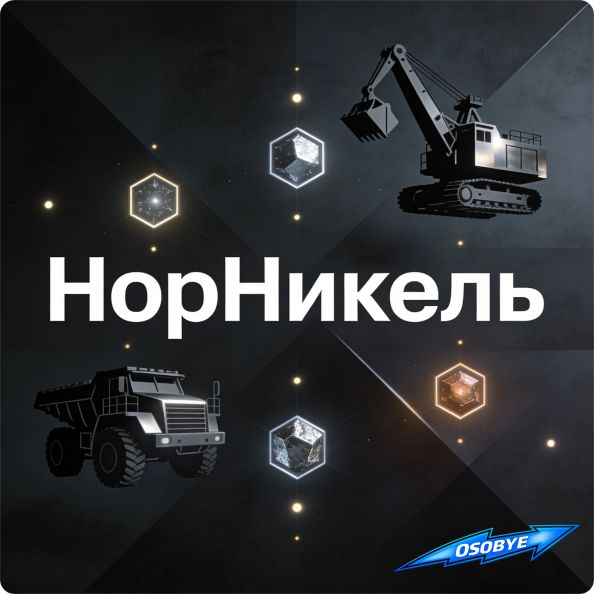 особые ру: акции НорНикель обзор