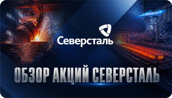 Обзор акций Северсталь