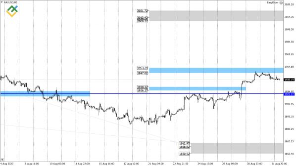 LiteFinance:   US Crude, XAUUSD  EURUSD   (1  2023)