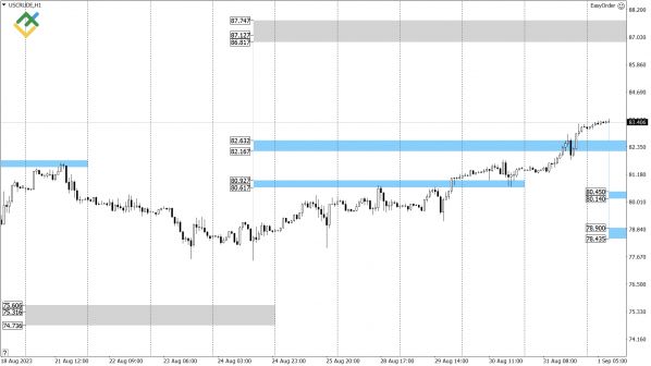 LiteFinance:   US Crude, XAUUSD  EURUSD   (1  2023)