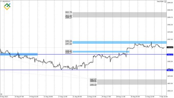 LiteFinance:   US Crude, XAUUSD  EURUSD   (5  2023)